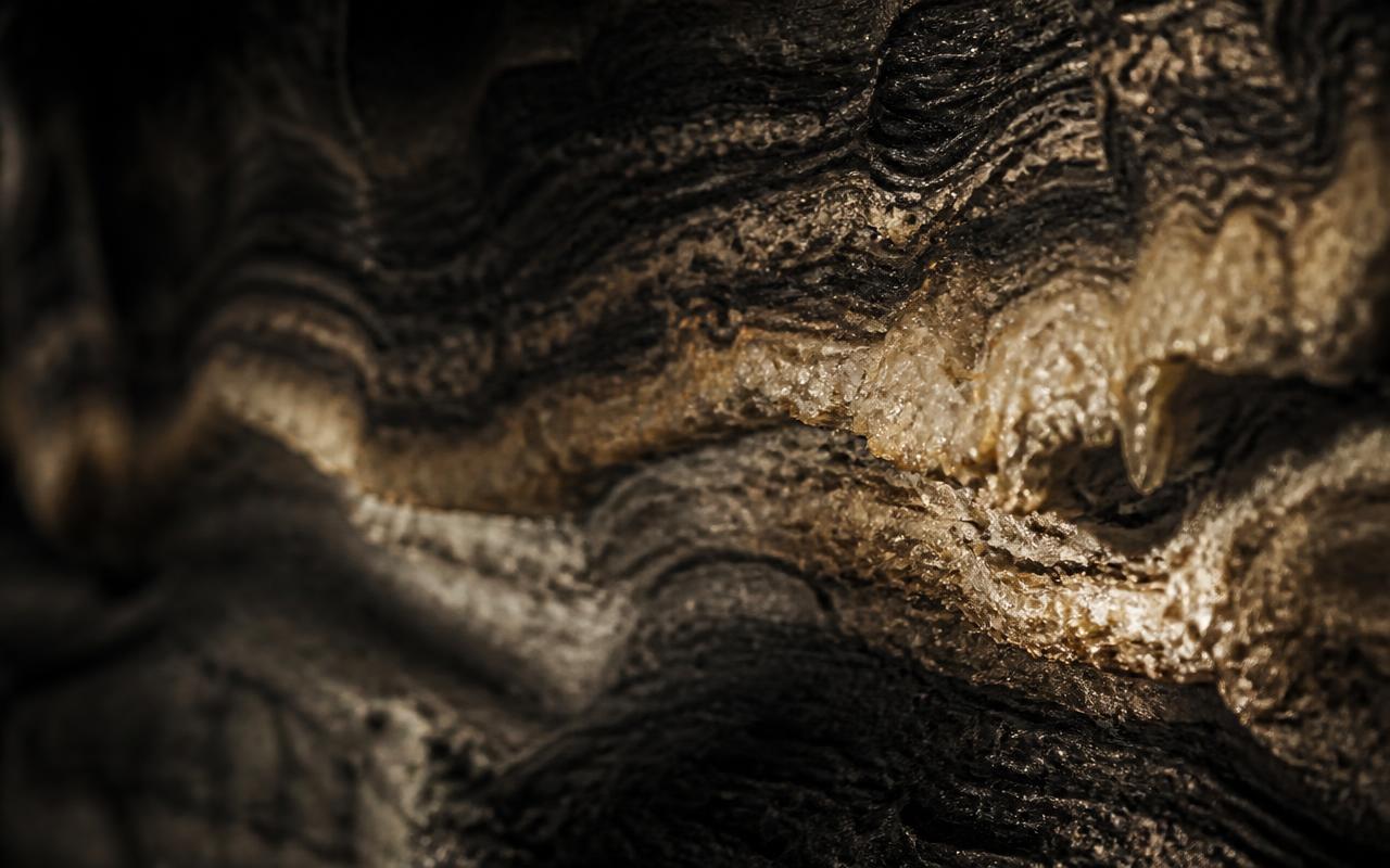 Close view of layered limestone and mineral texture