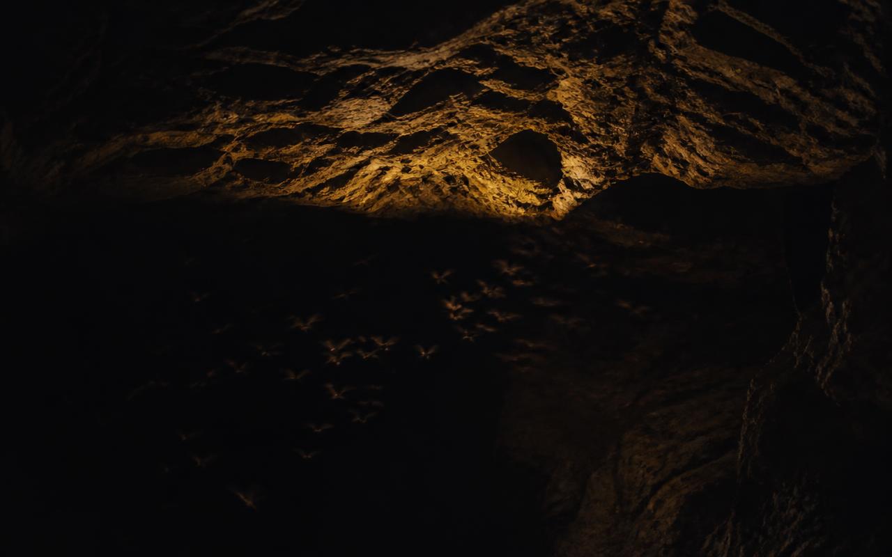 Dark cave chamber with faint amber glow on the ceiling